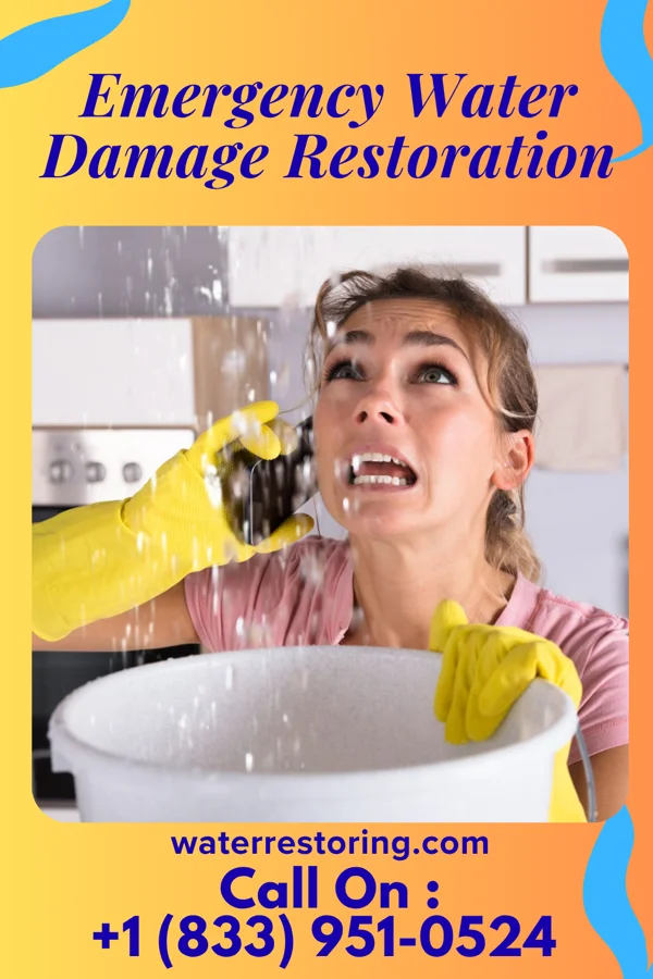 Emergency Water Damage Restoration in Riverbend, WA