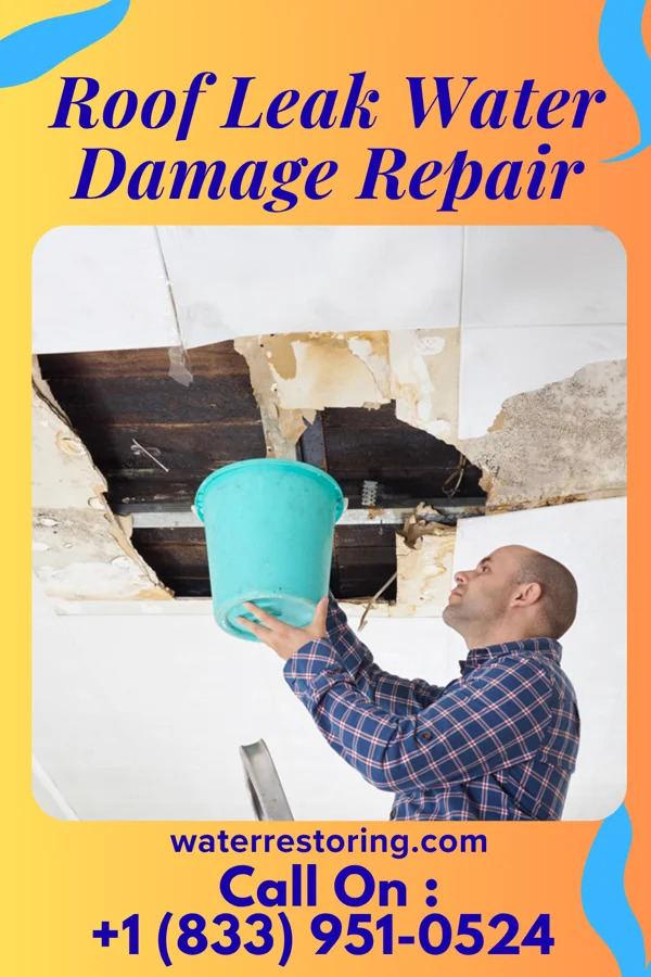Roof Leak Water Damage Repair in Riverbend, WA